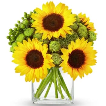 A Touch Of Sunshine – view 2