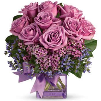 Royal Purple Petals – view 2