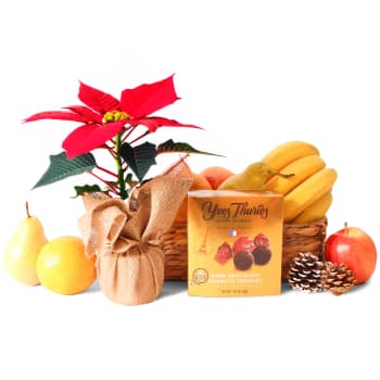 Fruity Poinsettia and Chocolates – view 2